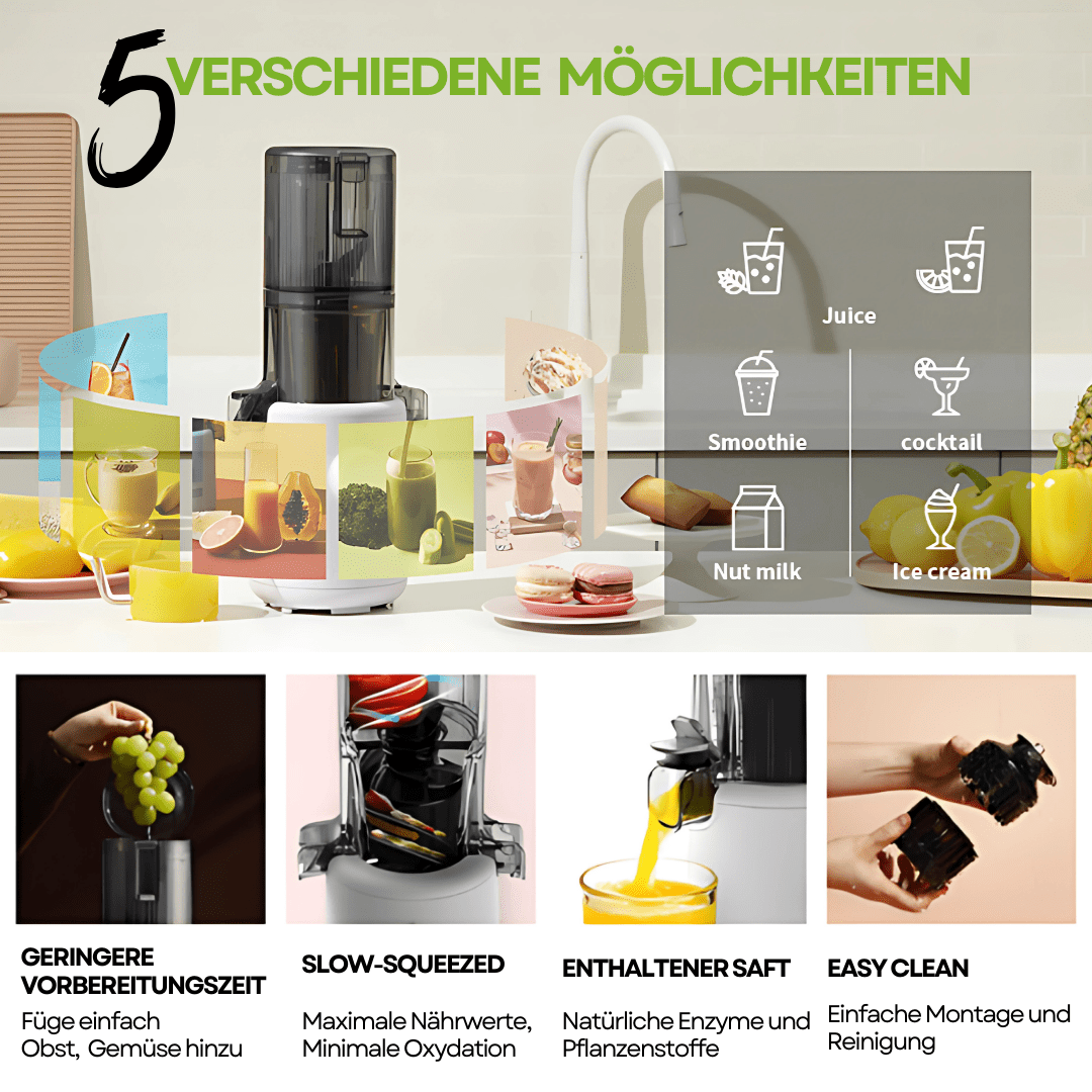 HUROM Slow Juicer H310A Anthrazit - Hurom Schweiz (8888025317722) (8888024891738)