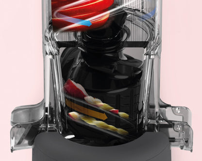 HUROM Slow Juicer H310A Anthrazit - Hurom Schweiz (8888025317722)