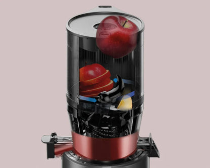 HUROM Slow Juicer H320N Matt Black, www.hurom.swiss, kostenloser Versand in der ganzen Schweiz (8888028463450)