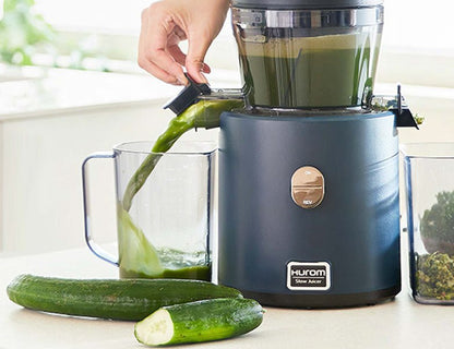 HUROM Slow Juicer H330P - Hurom Schweiz (9794960949594)